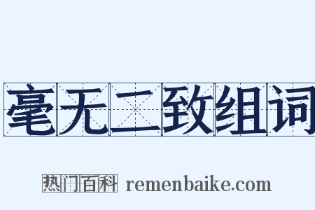 毫无二致组词是什么意思的图片